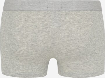 Boxeri de la Tommy Hilfiger Underwear pe gri: spate