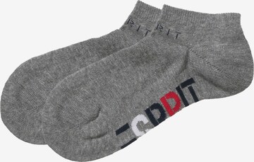 ESPRIT Socks in Grey