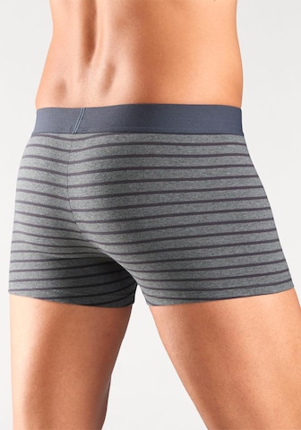 s.Oliver Boxer shorts in Grey