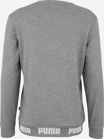 PUMA Sweatshirt in Grau: zadná strana