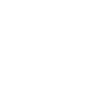 MOTHER Logo