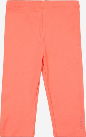 ESPRIT Skinny Leggings in Orange: predná strana