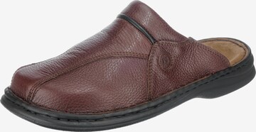 JOSEF SEIBEL Mules 'Klaus' in Brown: front