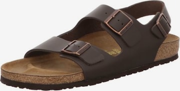BIRKENSTOCK Sandals in Brown: front