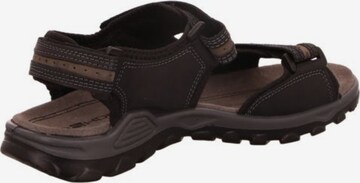 ROHDE Hiking Sandals in Black