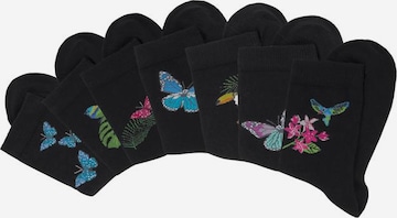 Chaussettes H.I.S en noir : devant