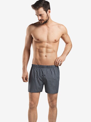 Hanro Boxershorts in Grijs: voorkant