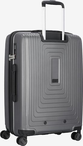 cocoono Suitcase Set 'Zürich' in Grey