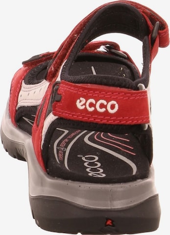 ECCO Hiking Sandals in Red