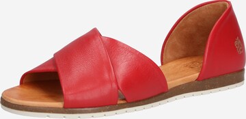 Apple of Eden Sandals 'Chiusi' in Red: front