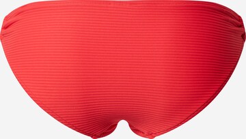 Seafolly Regular Bikinibroek in Rood