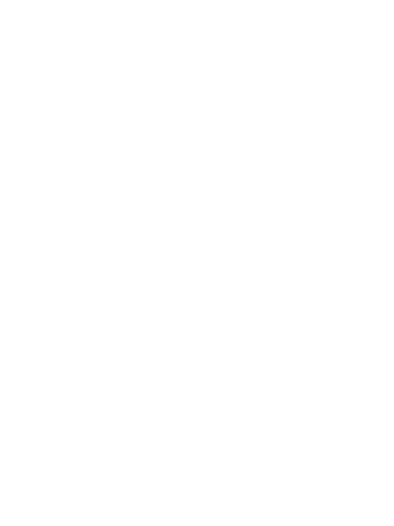 Bravado Designs Logo