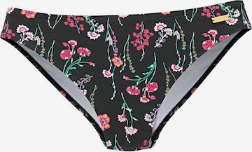 LASCANA Bikini Bottoms 'Bloom' in Black: front