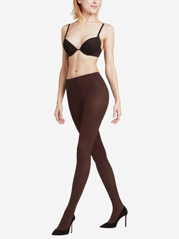 FALKE Fine Tights in Brown