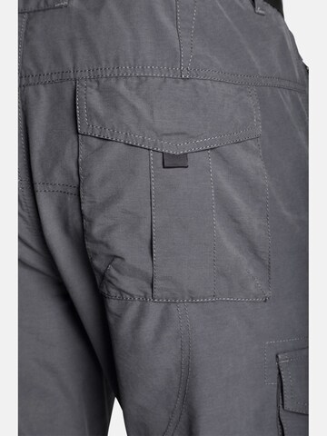 Regular Pantalon cargo 'Jannis' Jan Vanderstorm en gris