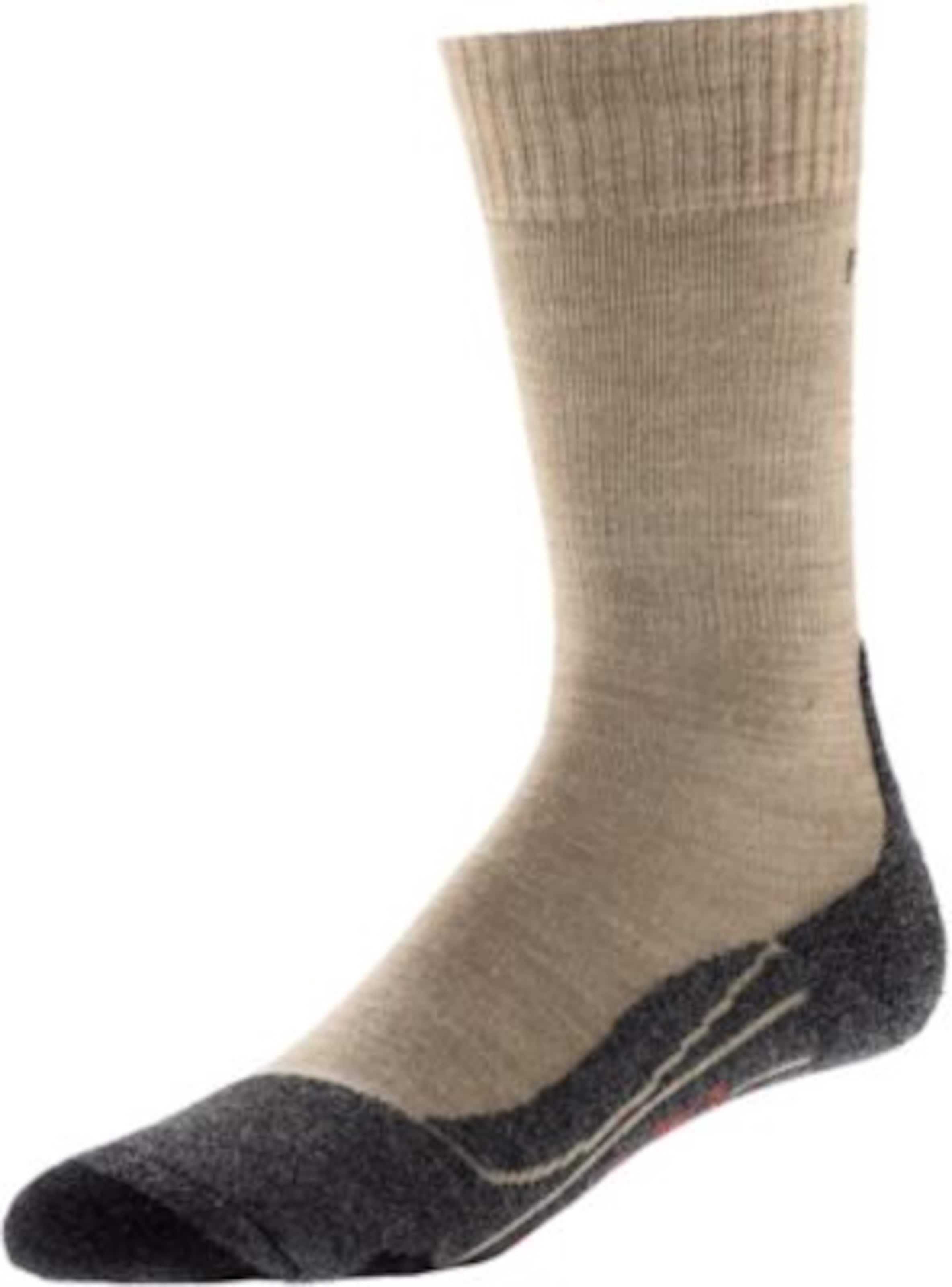 Calzino sportivo di FALKE in beige: frontale