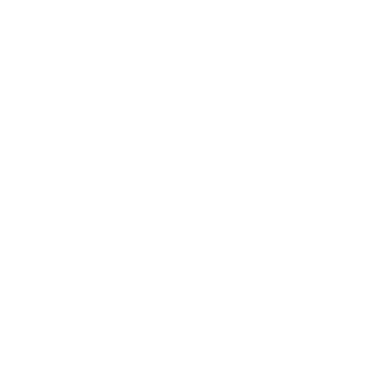 BRAX Logo