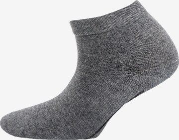 camano Socken in Grau