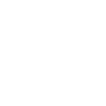 Wallis Logo