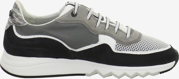 Floris van Bommel Sneakers 'Nineti' in Grey