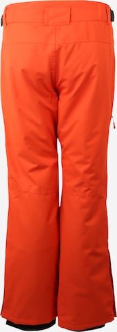 ICEPEAK Regular Workout Pants 'JOHNNY' in Orange: back