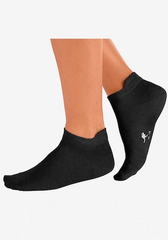 KangaROOS Ankle socks in Black: front