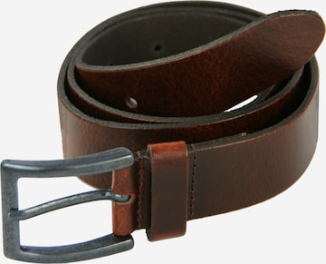 Petrol Industries Belt in Brown: front