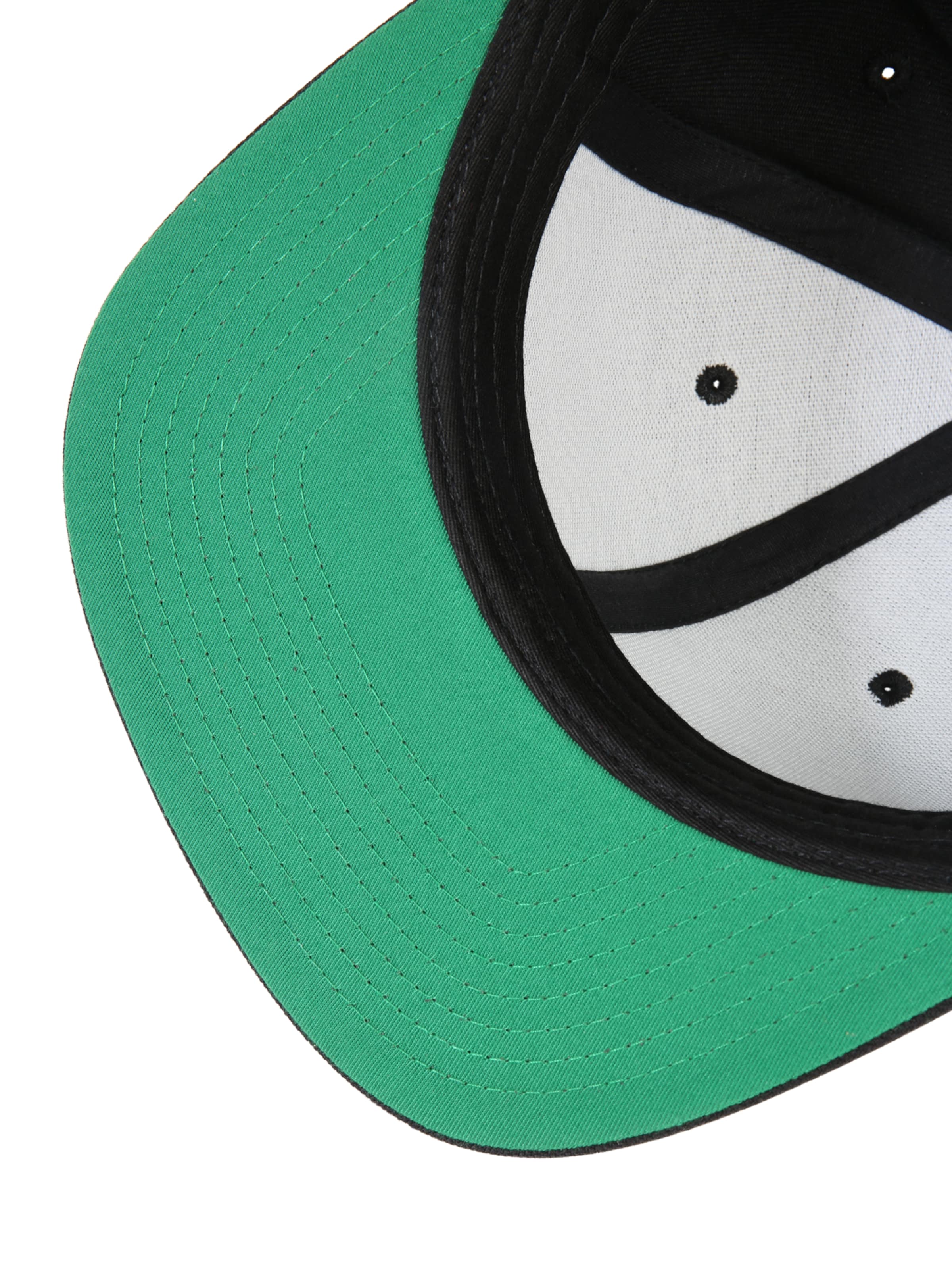 Flexfit Шляпа в Черный