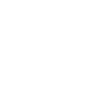 NN07 Logo