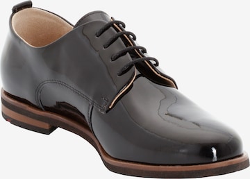 LLOYD Lace-Up Shoes in Black