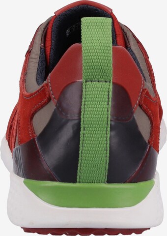 GEOX Sneakers laag 'Snake' in Rood