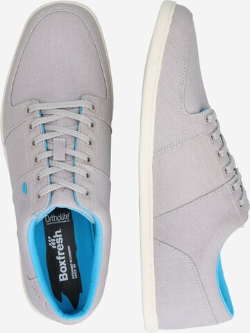 Baskets basses 'Spencer' BOXFRESH en gris