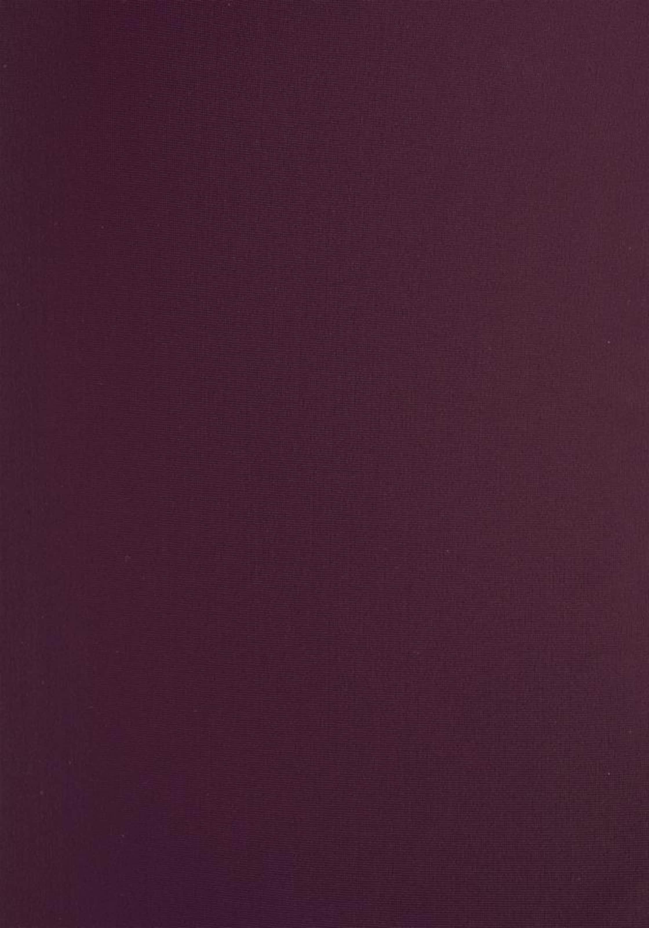 JETTE Купальник в Лиловый