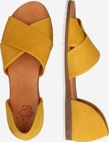 Apple of Eden Sandals 'SS20-CHIUSI' in Yellow