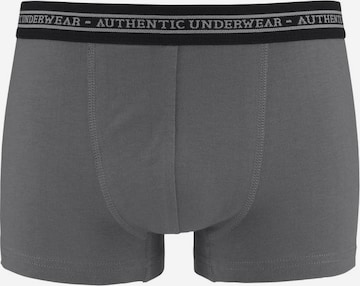 LE JOGGER Boxershorts in Grau