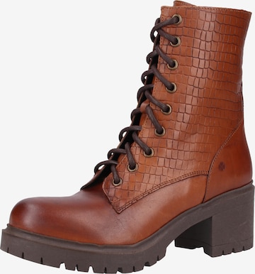 ILC Lace-Up Ankle Boots in Brown