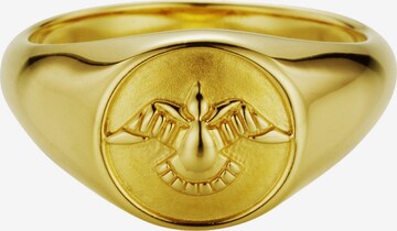 caï Ring in Gold: predná strana