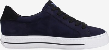 Paul Green Sneaker in Blau