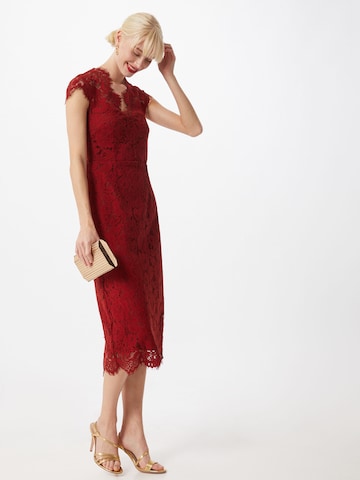 IVY OAK Εφαρμοστό φόρεμα σε κόκκινο