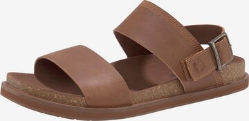 TIMBERLAND Sandals in Brown: front