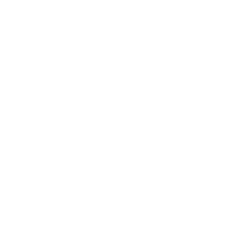 apol Logo