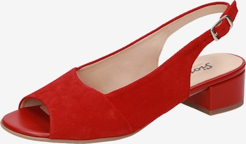 SIOUX Slingback Pumps 'Zippora' in Red: front