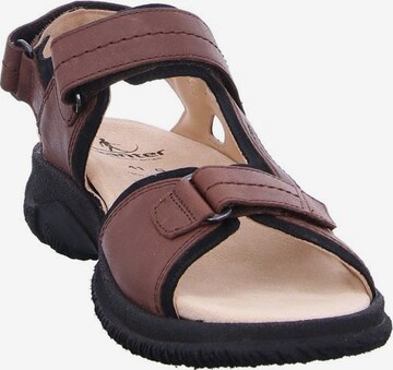 Ganter Hiking Sandals in Brown