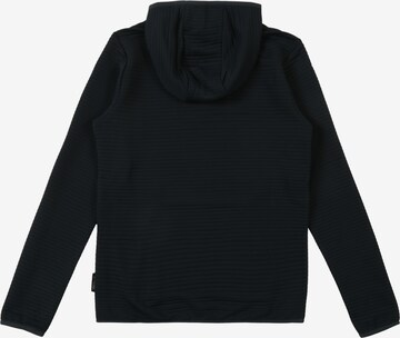 JACK WOLFSKIN Sweatshirt in Blue: back