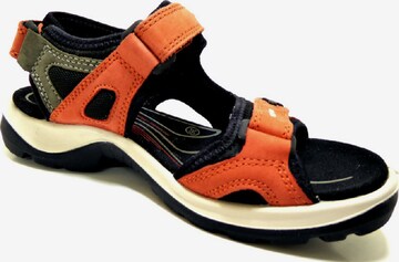 ECCO Hiking Sandals 'Offroad' in Orange