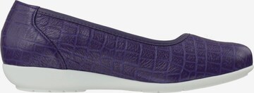 Natural Feet Ballet Flats 'Catharina' in Purple