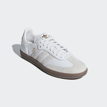 Baskets basses 'Samba OG FT' ADIDAS ORIGINALS en blanc