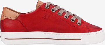 Paul Green Sneakers in Rot