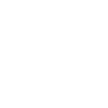 Neverless Logo