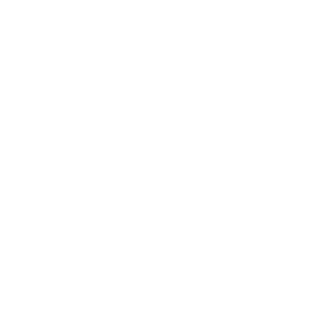 Flarelle Logo